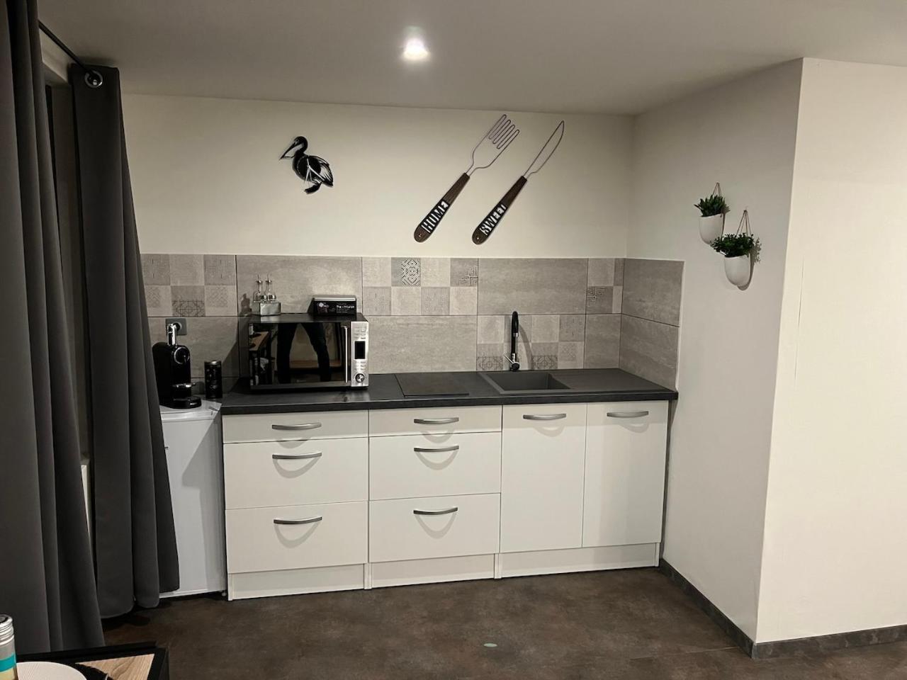 Studio Le Petit Pelican Châtenois 외부 사진