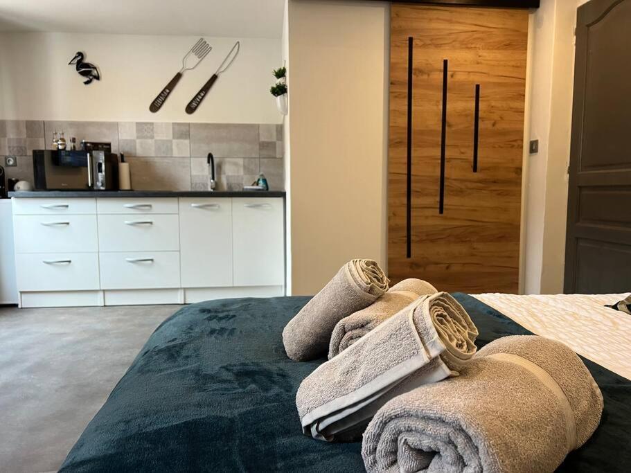 Studio Le Petit Pelican Châtenois 외부 사진